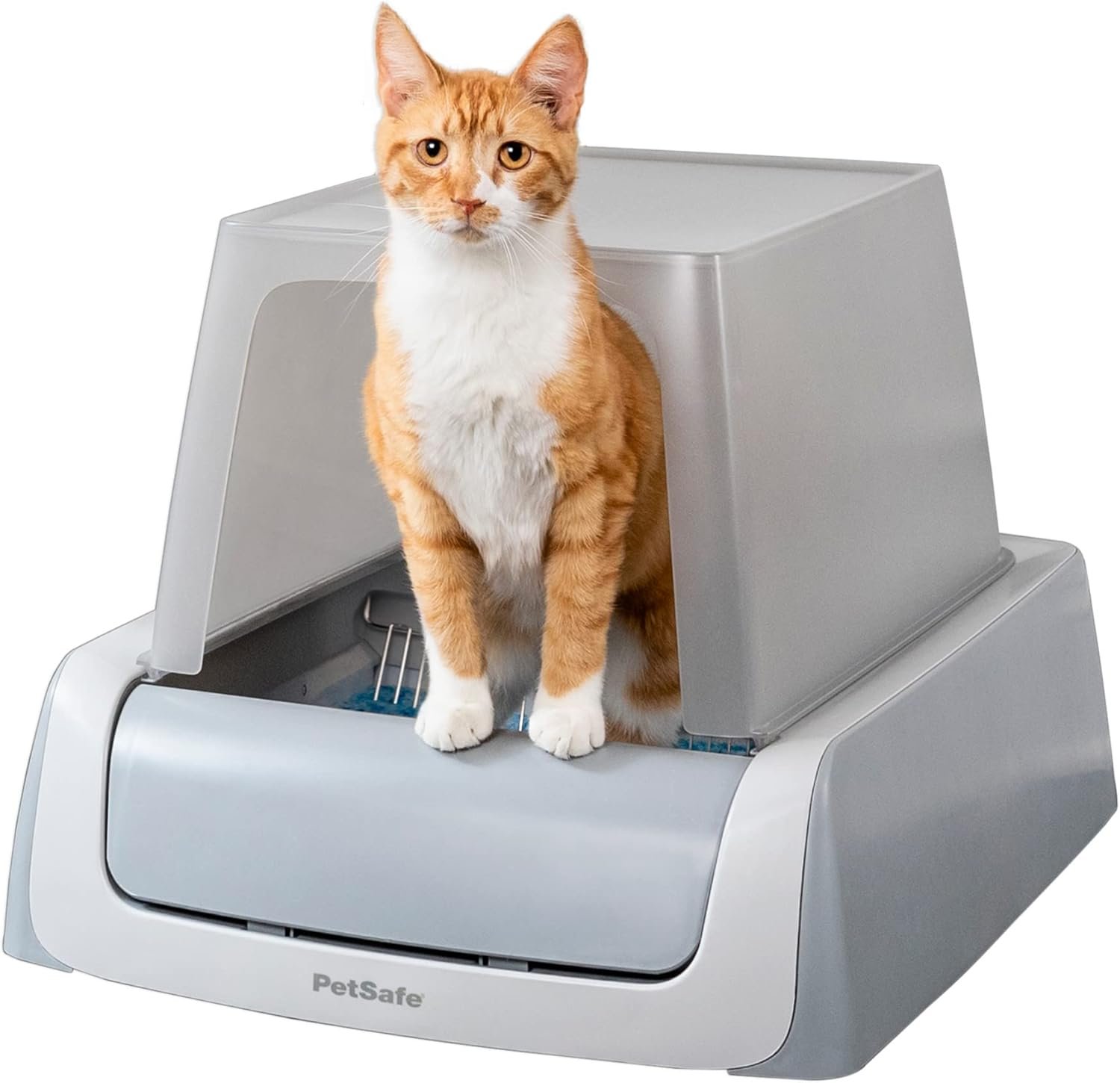 Best Self-Cleaning Litter Box (2026 Guide)