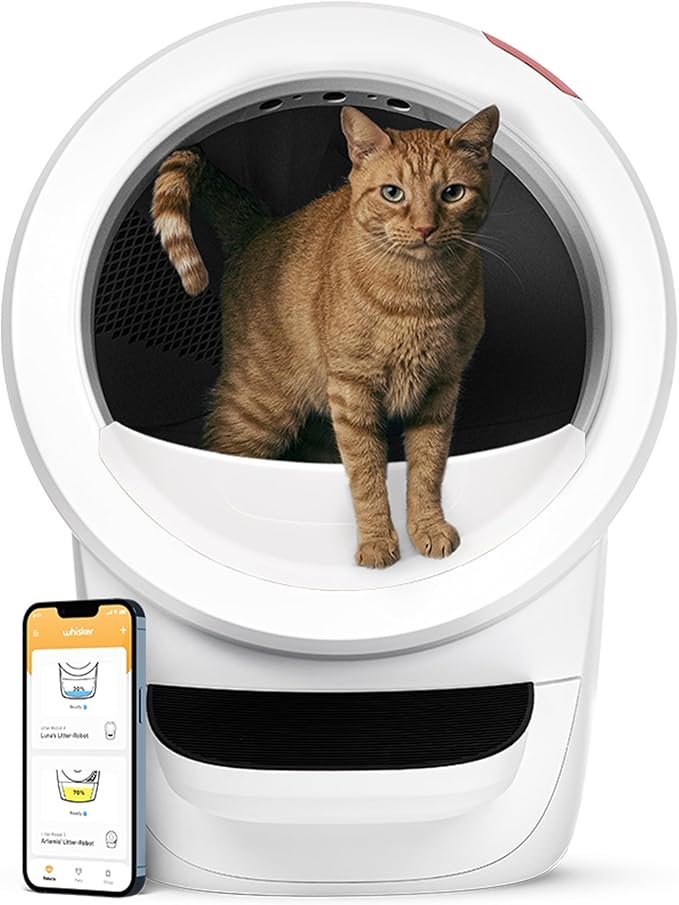 Best Self-Cleaning Litter Box (2026 Guide)