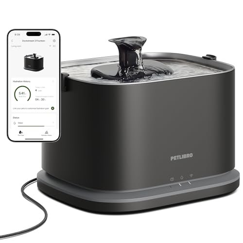 Best Cat Water Fountains on Amazon for Quiet, Easy-Clean Hydration