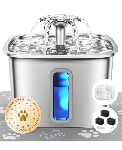 Best Cat Water Fountains on Amazon for Quiet, Easy-Clean Hydration
