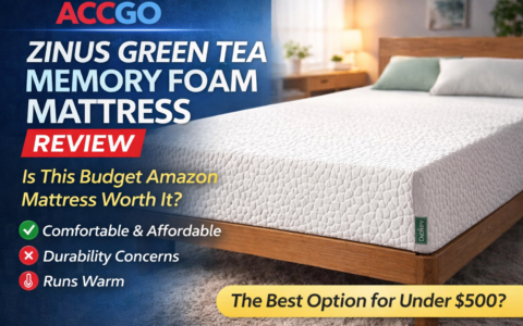 Zinus Green Tea Memory Foam Mattress Review (2026)