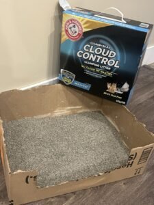 Arm & Hammer Clump & Seal Multi-Cat Litter review: Strong odor control for busy households