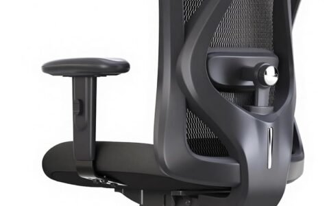 SIHOO Office Ergonomic Desk Mesh Chair Review (Canada)