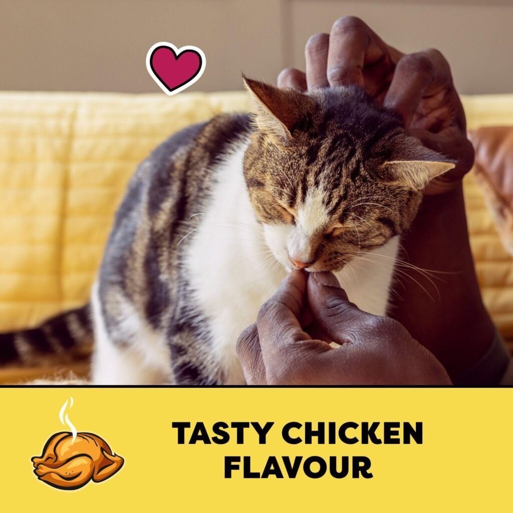 Best Fancy Feast Variety Packs on Amazon