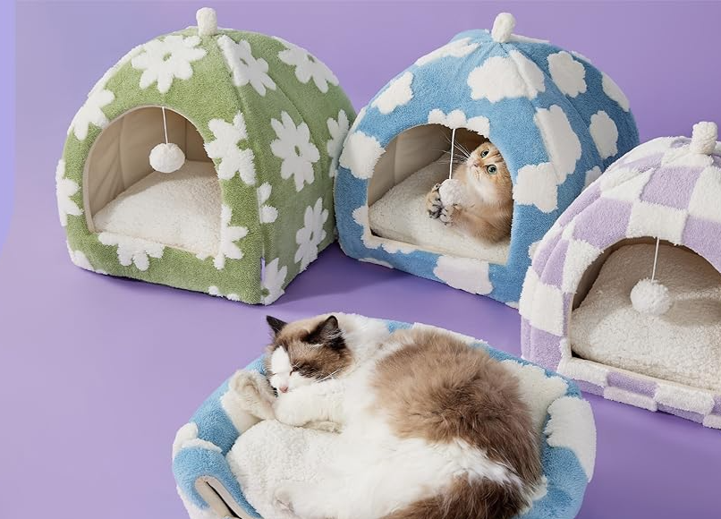 Accgo Review: Lesure vs. Bedsure — Which 2-in-1 Cat Cave Bed Is the Best Pick for Indoor Cats?