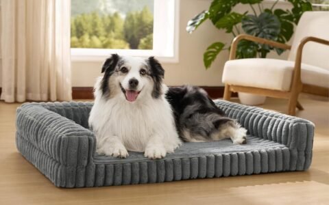 Bedsure Orthopedic Dog Bed Review: Does Egg-Crate Foam Actually Make a Difference?