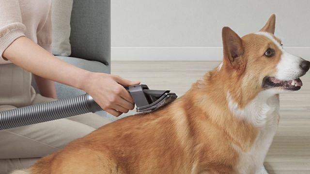 oneisall Dog Grooming Vacuum Review: A Cleaner, Easier Way to Groom Your Dog at Home