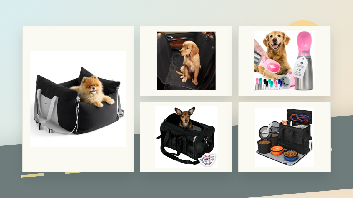 Amazon Pet Travel Deals to Check This Week: 5 Road-Trip Picks for Dogs and Cats