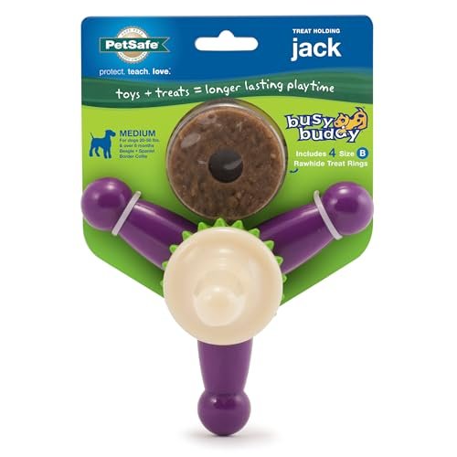PetSafe Busy Buddy Jack Treat Toy