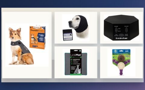 Amazon Pet Fireworks Safety Deals 2026: 6 Calming and ID Picks