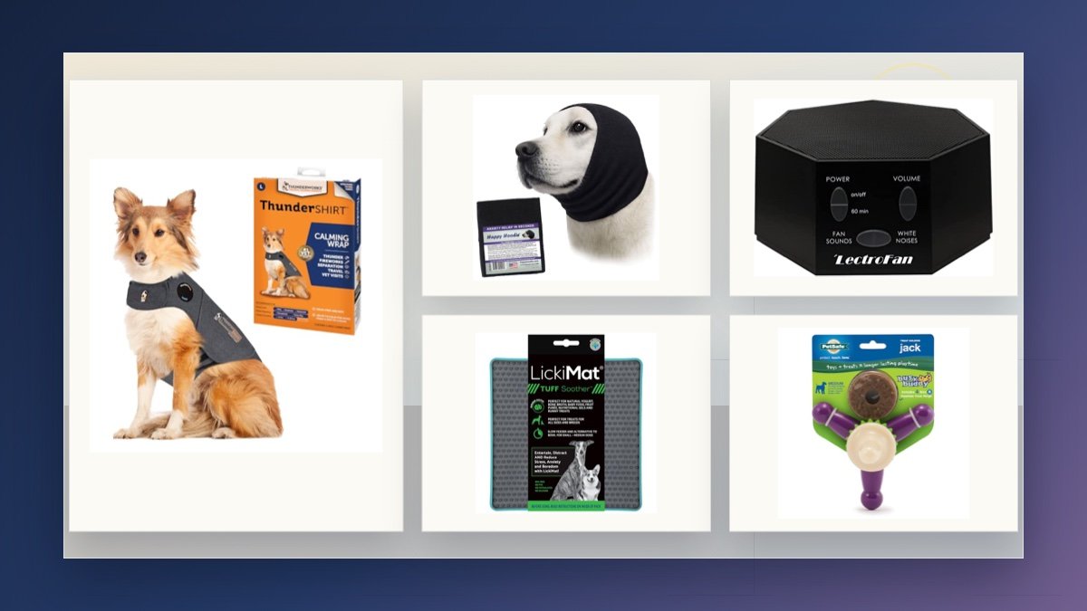 Dog calming and enrichment products for Fireworks nights safety on a calm evening background