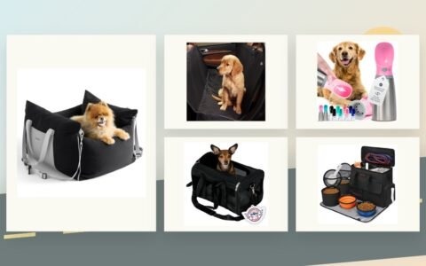 Amazon Pet Travel Deals 2026: 5 Road-Trip Picks