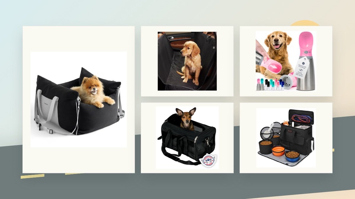 Dog travel gear including car seat, seat cover, carrier, water bottle, and travel bag on a road-trip background